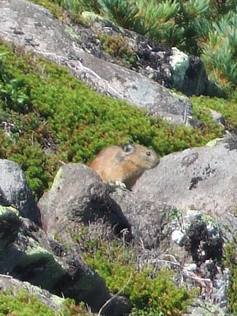 �J�s�o���H