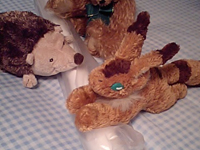 �ǂ�ȃ|�X�^�[�����������H