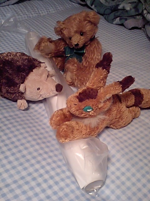 �ǂ�ȃ|�X�^�[�����������H