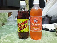 ��k�̈��ݕ�