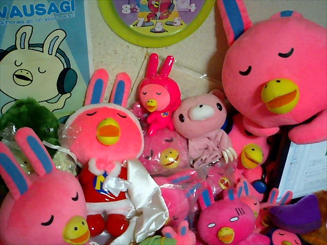 ������Ƒ����ł����E�E�E