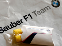 BMW�U�E�o�[F1�`�[������