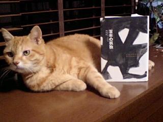 �K���V�A�E�}���P�X�u�S�N�̌ǓƁv