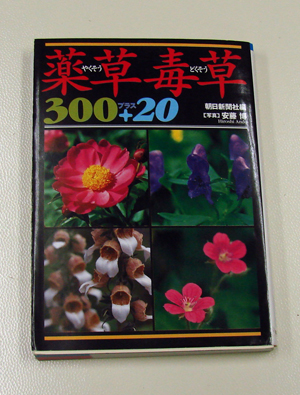 �����Ƃ�������