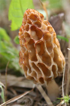 ��ނ�������܂��񂪁c