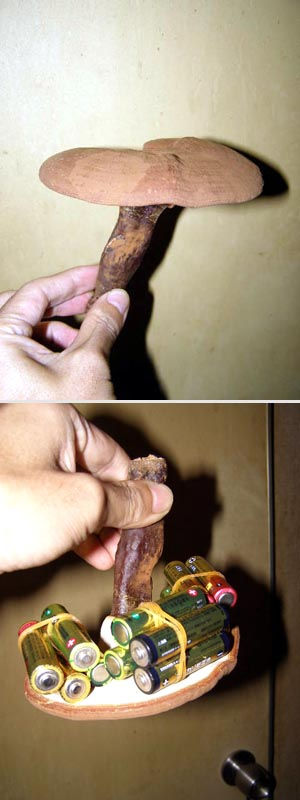 �}���l���^�P