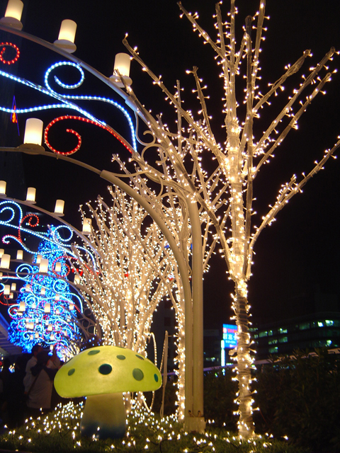 �L�m�R������ł�