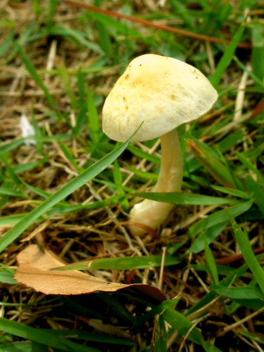 ��ށA�H�ŕs��