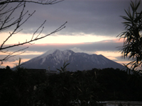 �T�N���W�}�I