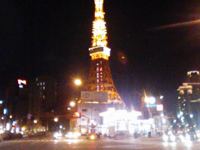 ���ꂽ�猩����炵����