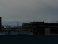 �x�m�R��������