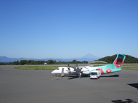 ������Ɠ�̓s������