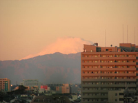 ���ꂼ��̏����̏o