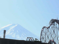 �t�W���}�ƕx�m�R