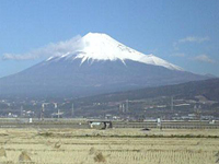 THE�E�t�W���}