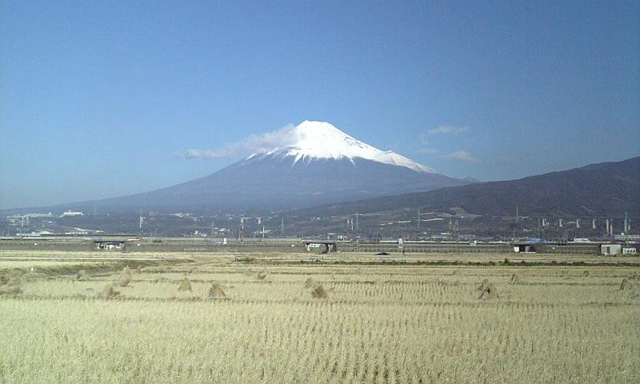 THE�E�t�W���}