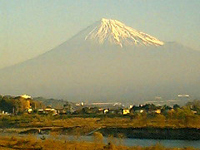 �Q���Ԃ̎ԑ�����