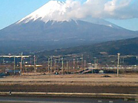 �P���Q���̕x�m�R�ł��B