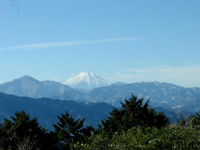 �����R�R������݂��x�m�R