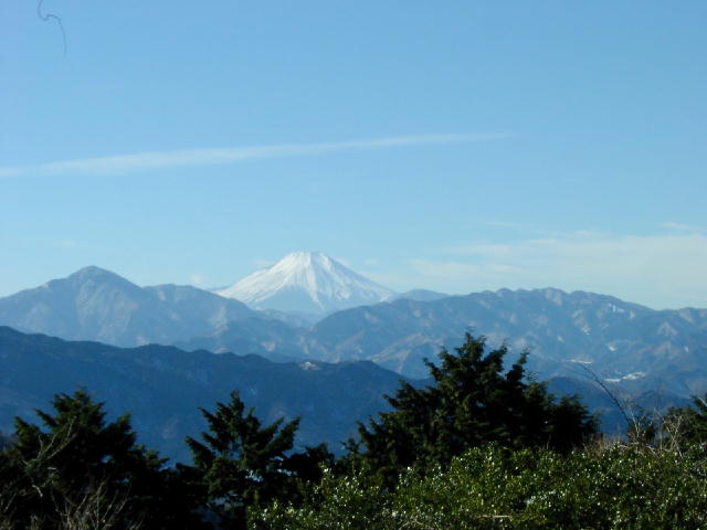 �����R�R������݂��x�m�R