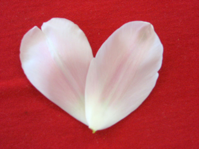 �͂��B�B�B�n�[�g