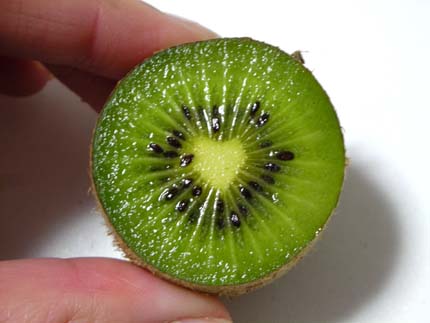 �L�E�C�̒�