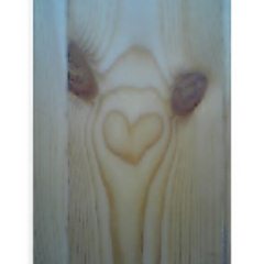 �V�R�̐ԏ��t���[�����O���ށi���V�A�Y�j