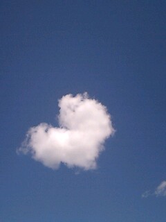 �A�����J�[�i