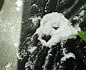 ���܂��[��!