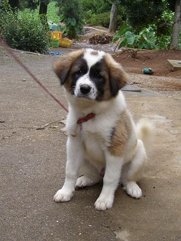 ������ł��肢���܂�m(�Q  �Q)m