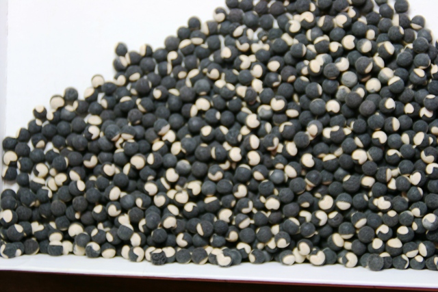 �t�E�Z���J�Y���̎�