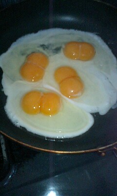 ���ǂ����������Ȃ�܂�