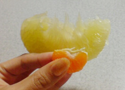 ���k�e�q�̈�