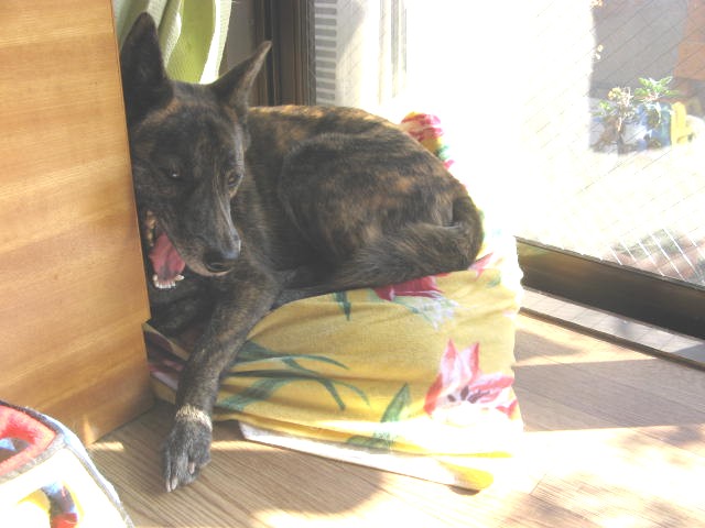 �����v�B