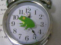 �J�G���̂��������ܖڊo�܂��B