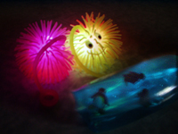 ��X�I���