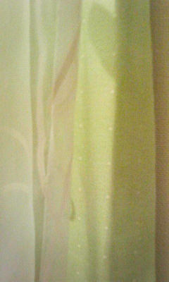 �V����������