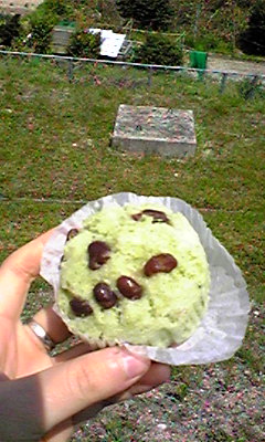 �V�΂̃L�����p�X��