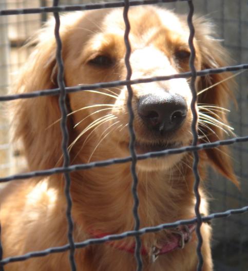 �ǁ[���o�������ł���?