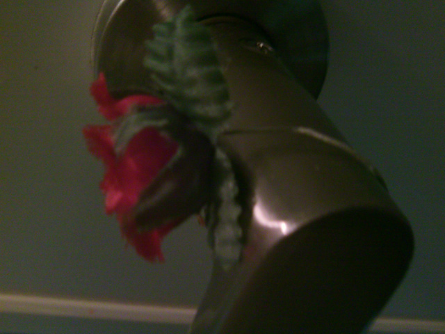 ���Z���̂Ƃ��ɐ�y(��)�����ꂽ�o���̑���