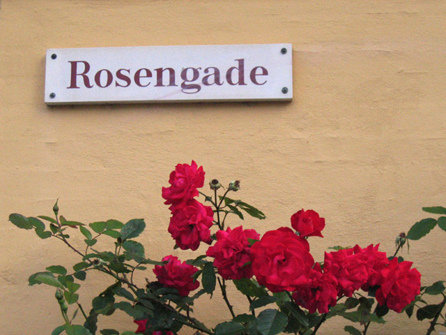 �K�N�ʂ�̃o��