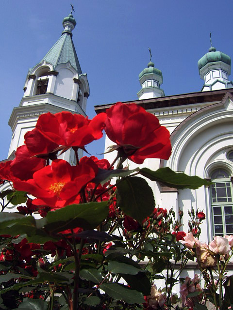 �n���X�g�X��������K�N��