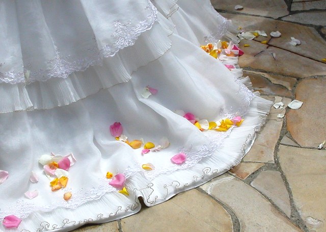 �t�����[�V�����[