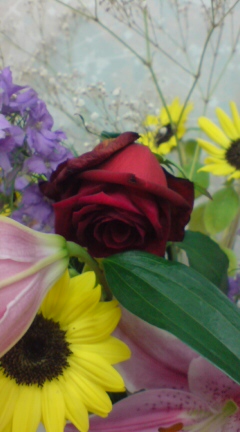 ���C�o����