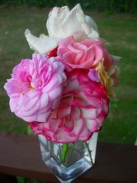 �܂�܂ł���