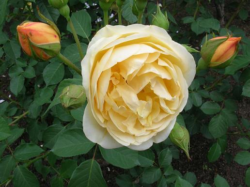 ���F���o��