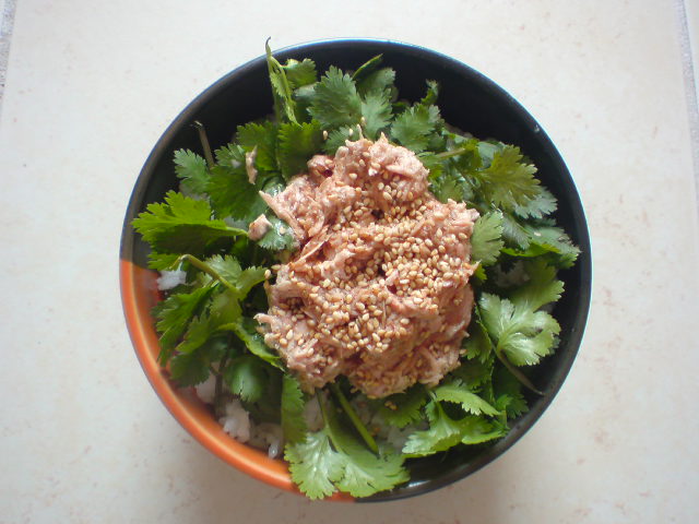 �c�i�p�N�`�[��