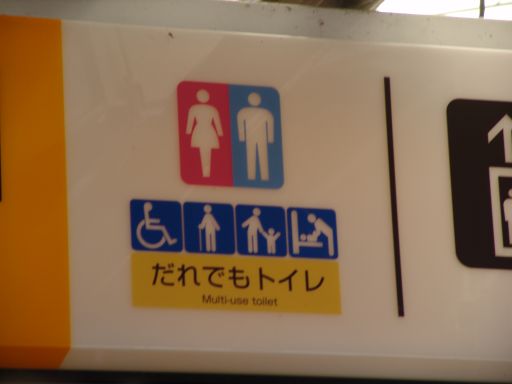 ����ł��H