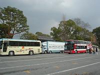 ����Ă��������ł�