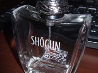 ���O�Ɏ䂩���